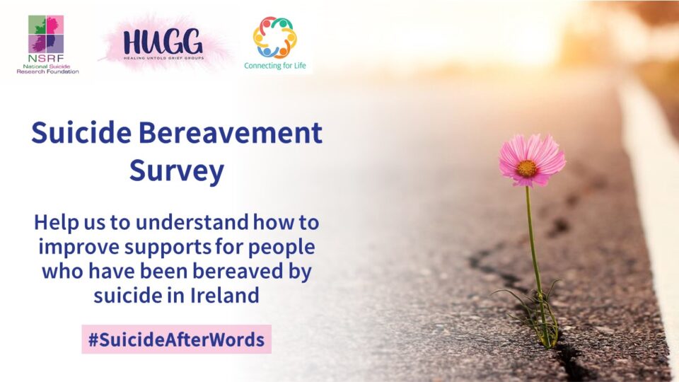 National Suicide Bereavement Survey