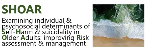 Examining individual and psychosocial determinants of self-harm and suicidality in older adults: improving risk assessment and management (SHOAR)